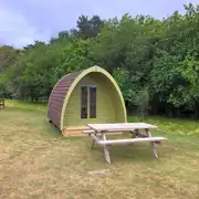 Wee Pea pod