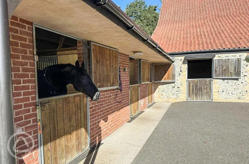 Stables