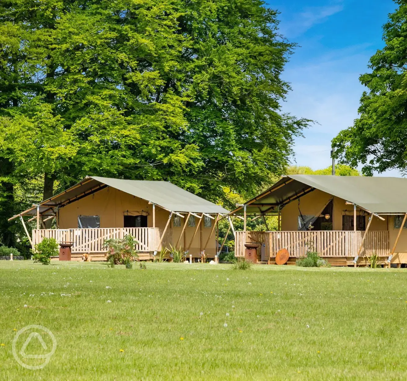 Safari tents