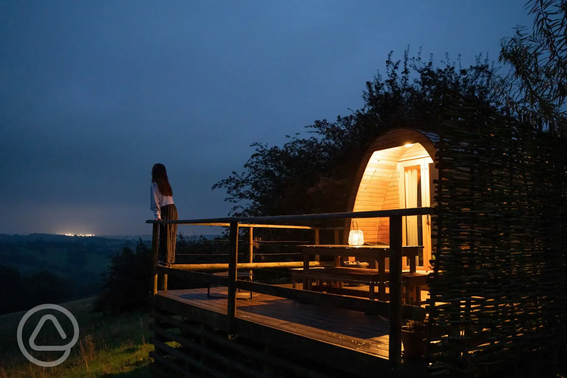 Bluebell pod at night