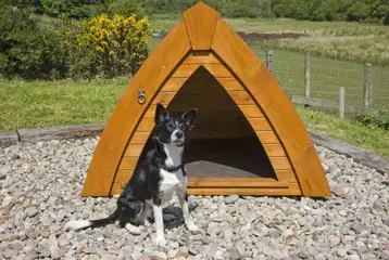 Highlander dog pod