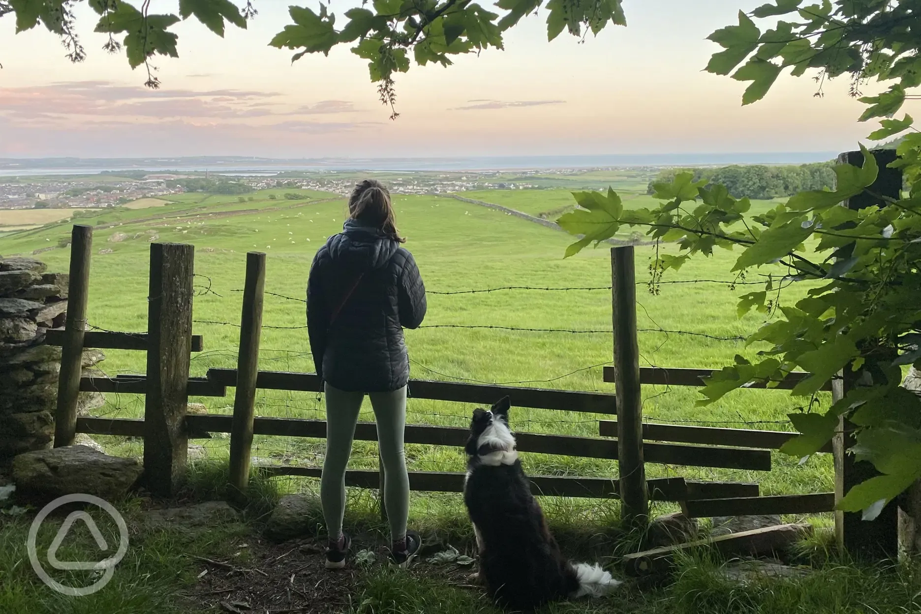 Local woodland walk, ten minutes away