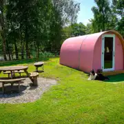Alder camping pod