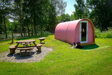 Burton Springs Holidays, Burton, Bridgwater, Somerset