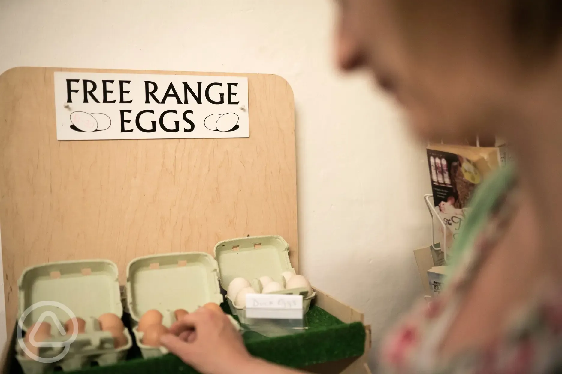 Fresh eggs available to buy onsite
