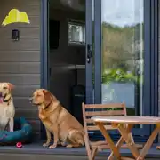 Pod cabin - dog friendly