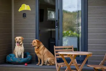 Pod cabin - dog friendly