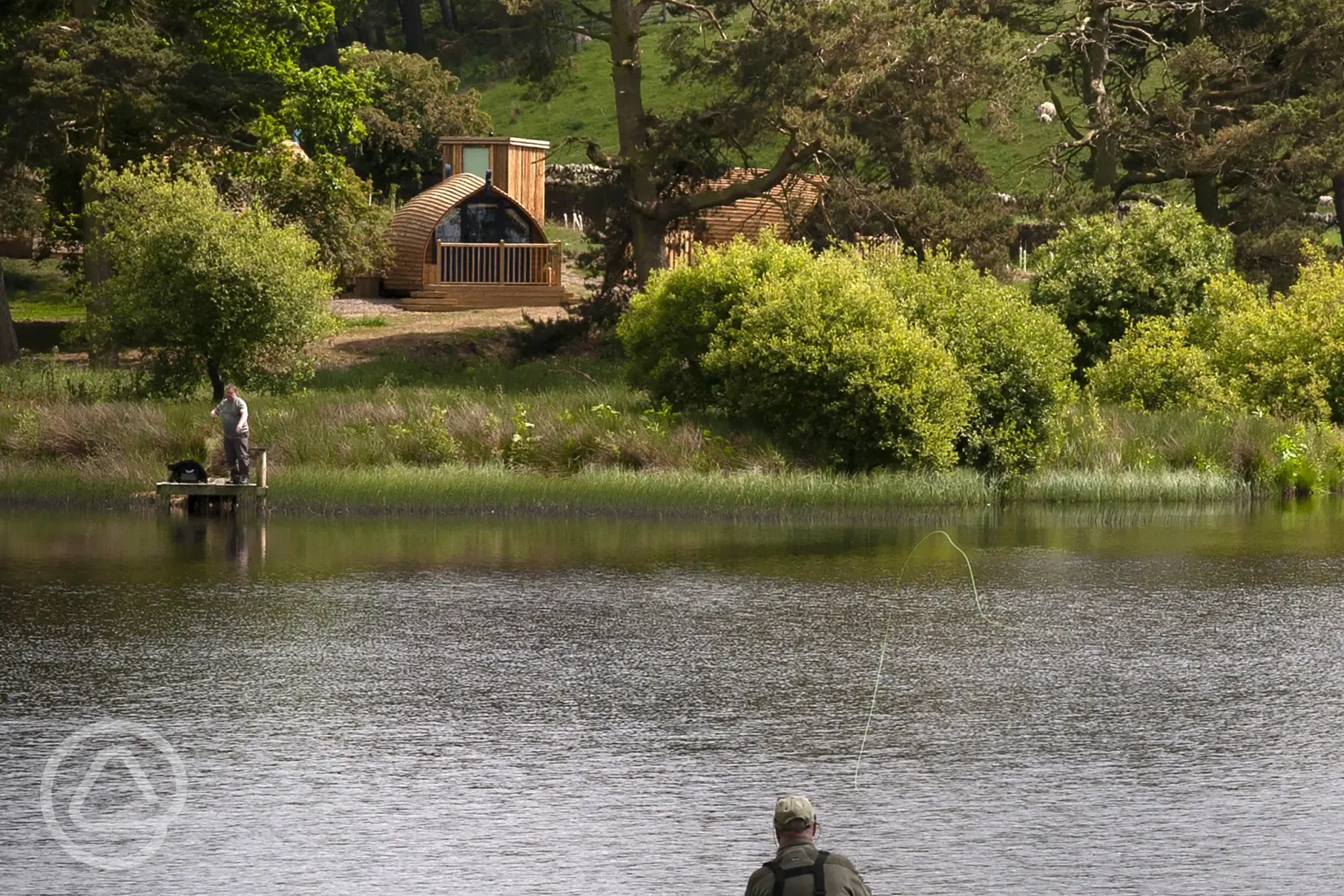 Fish on the lake