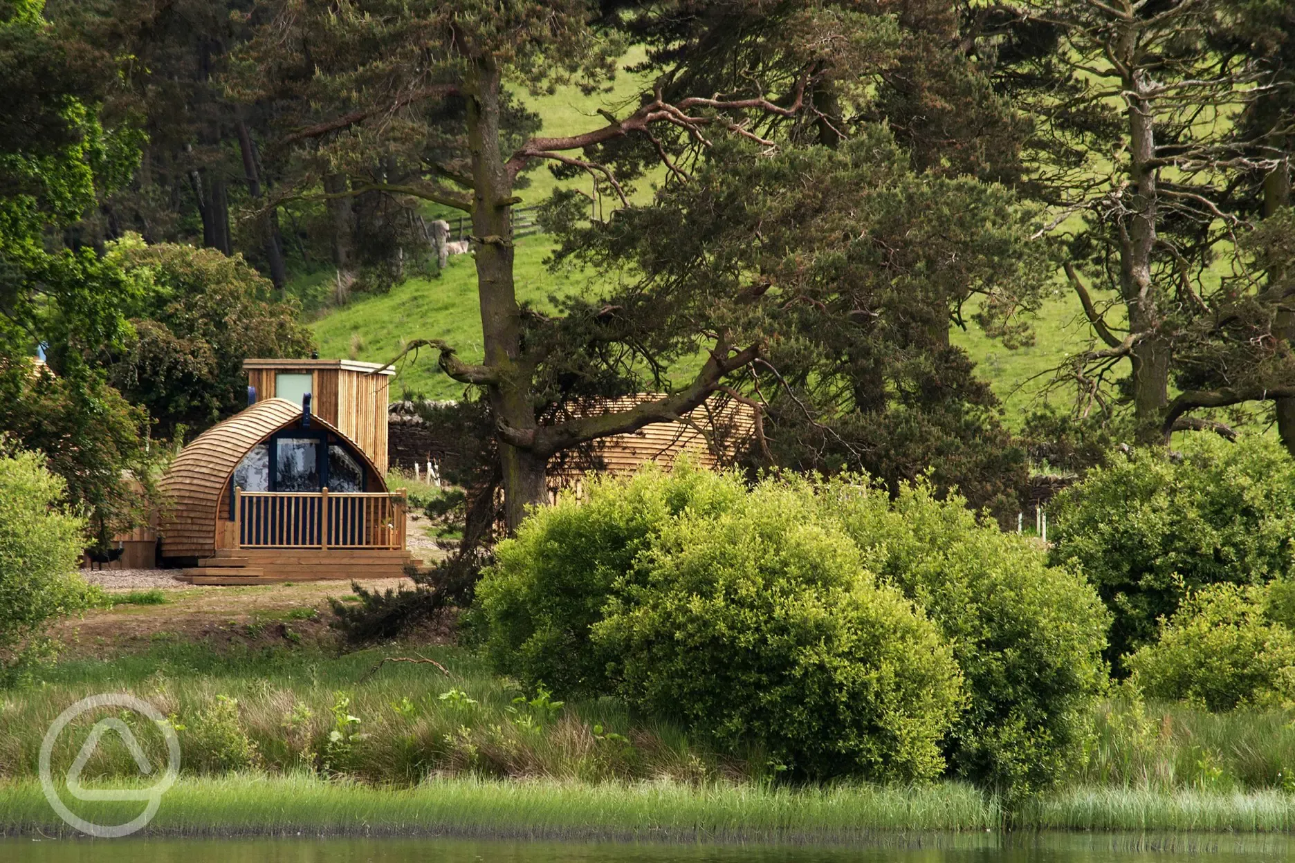 Cabins overlooking the lake