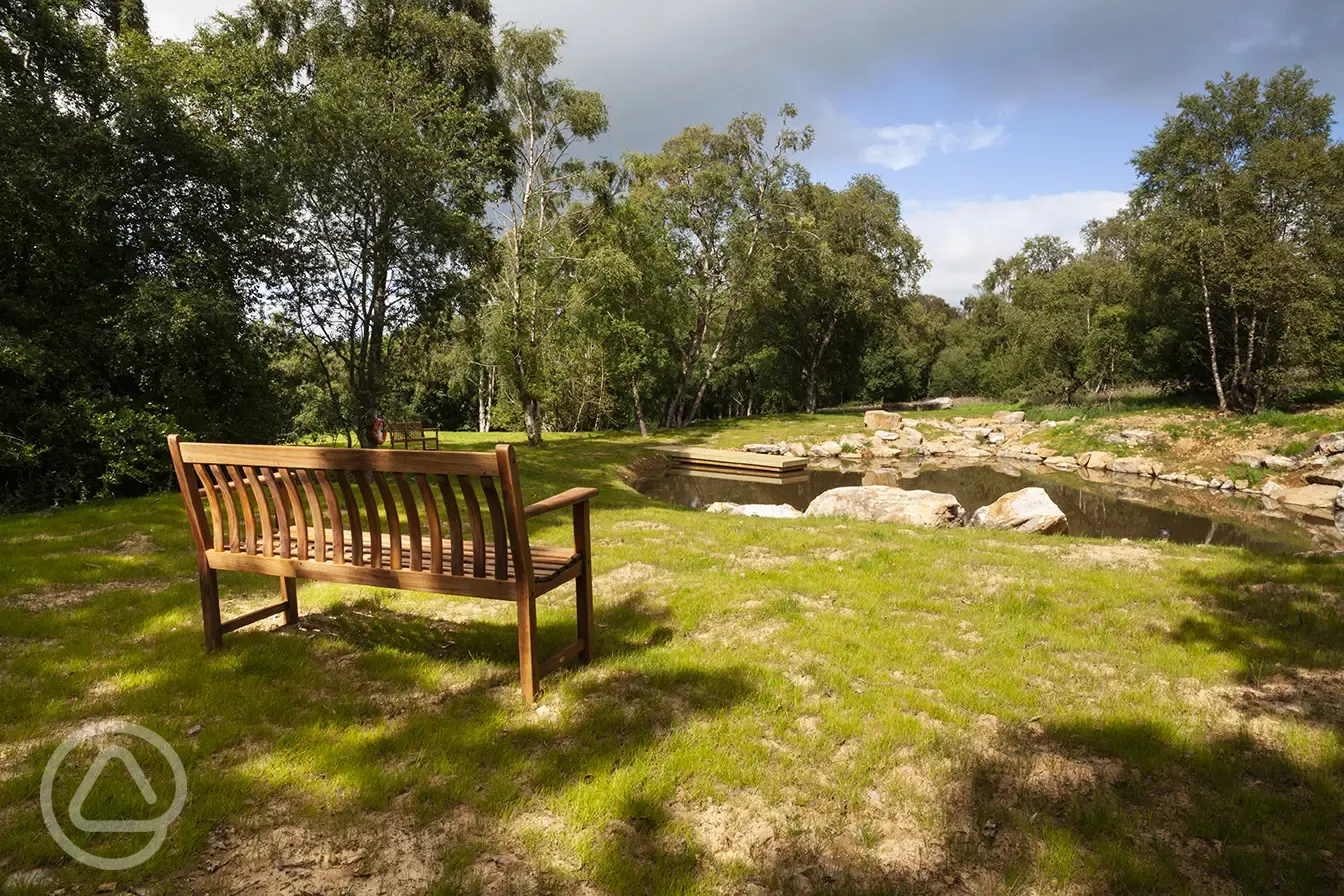 Pond area