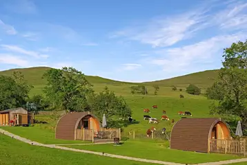 Glamping pods