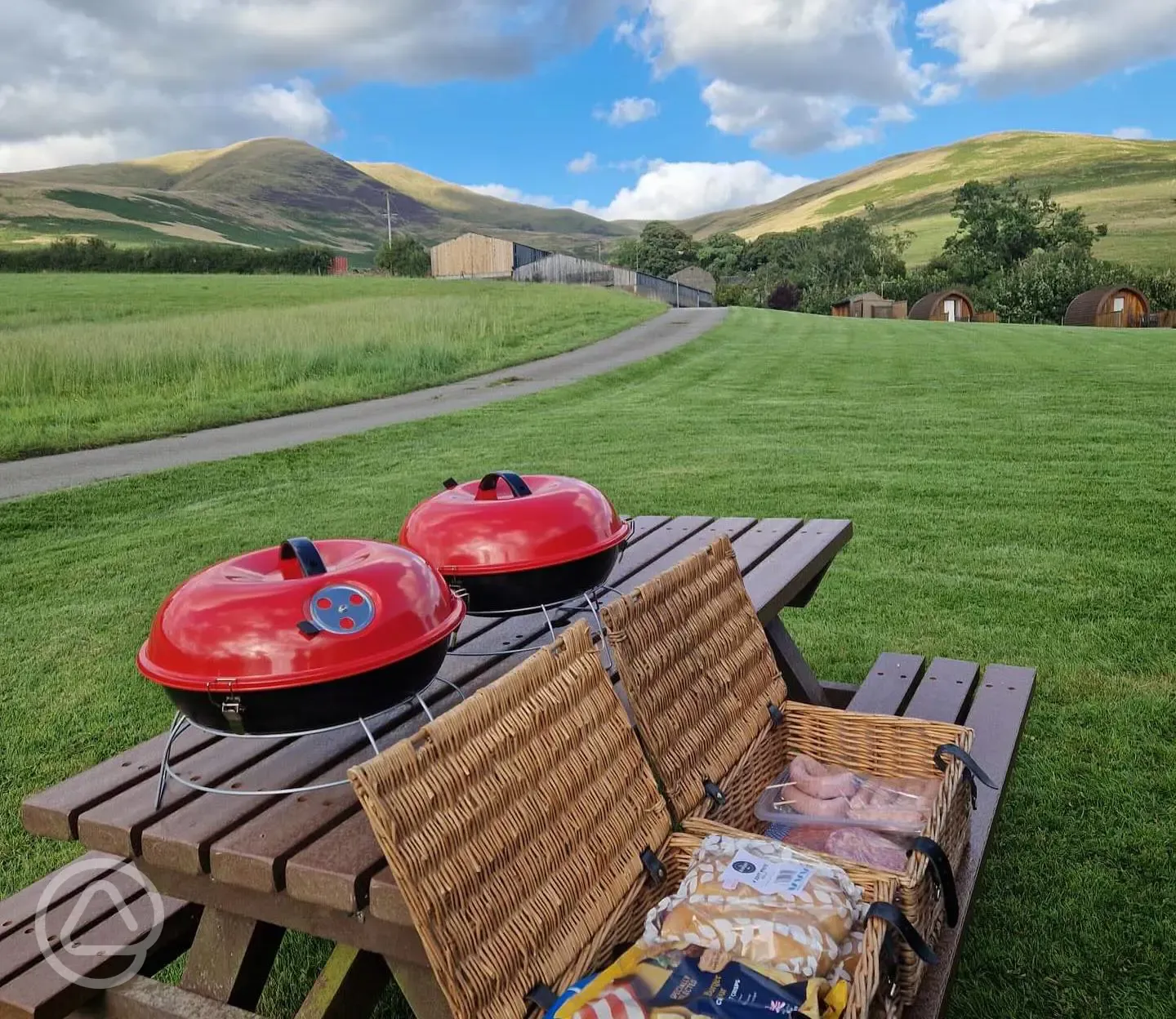 BBQ baskets