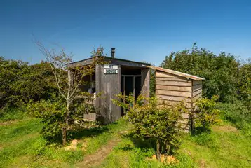 Outdoor showers and toilets