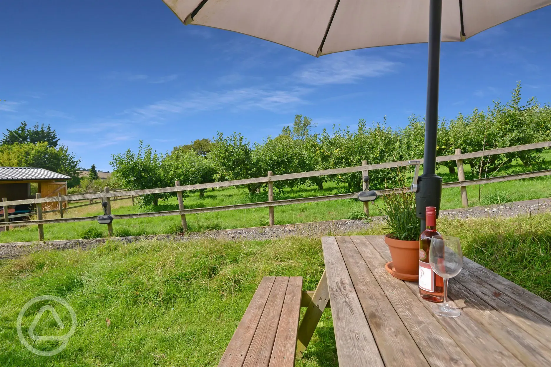 Converted chicken shed pod outdoor seating