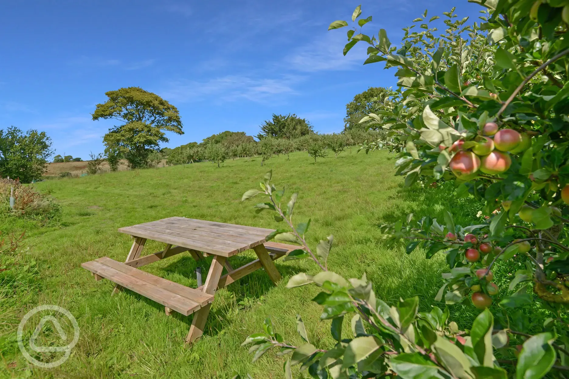 Picnic bench 