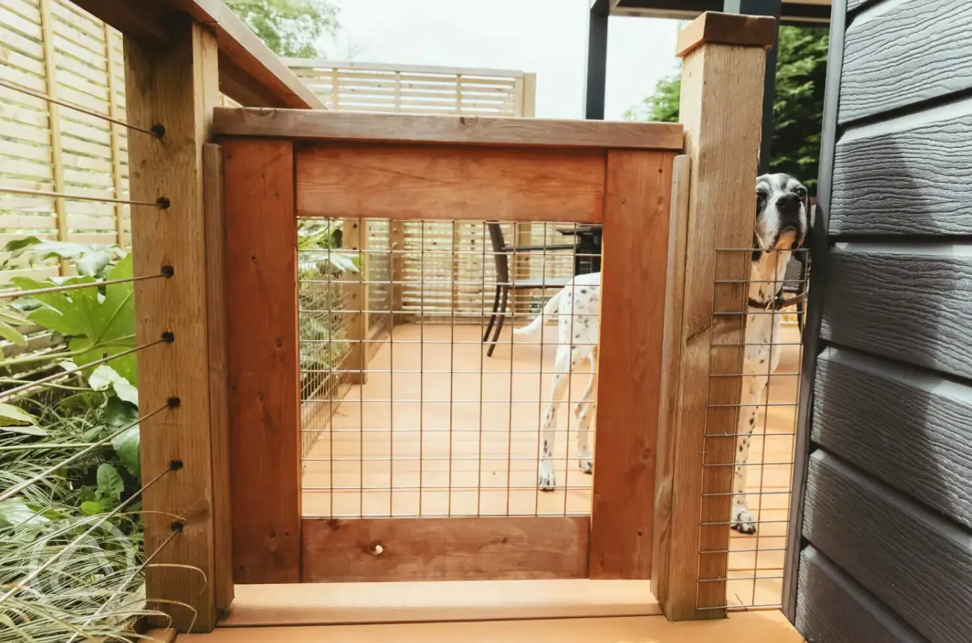 Dog friendly glamping cabins - fenced outside area for dog security