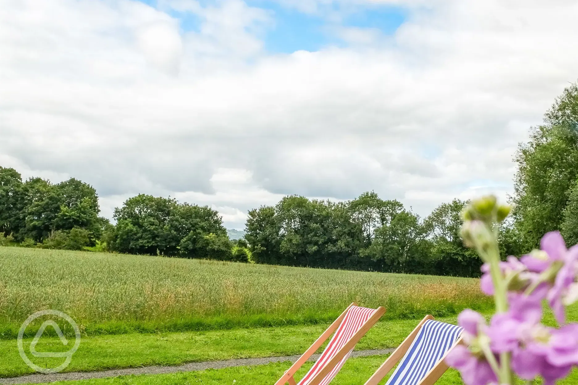 Deckchairs