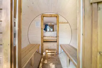 Owl pod interior