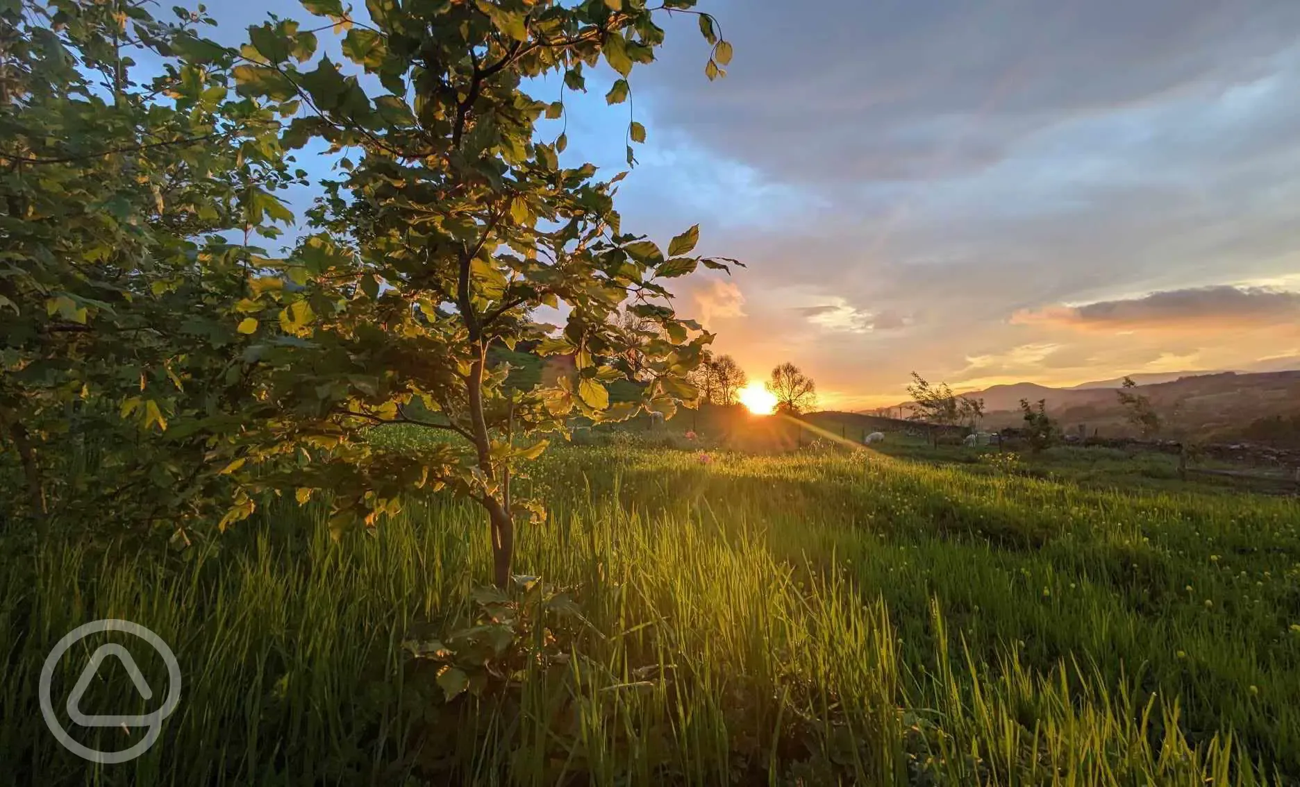 Sunset from the site