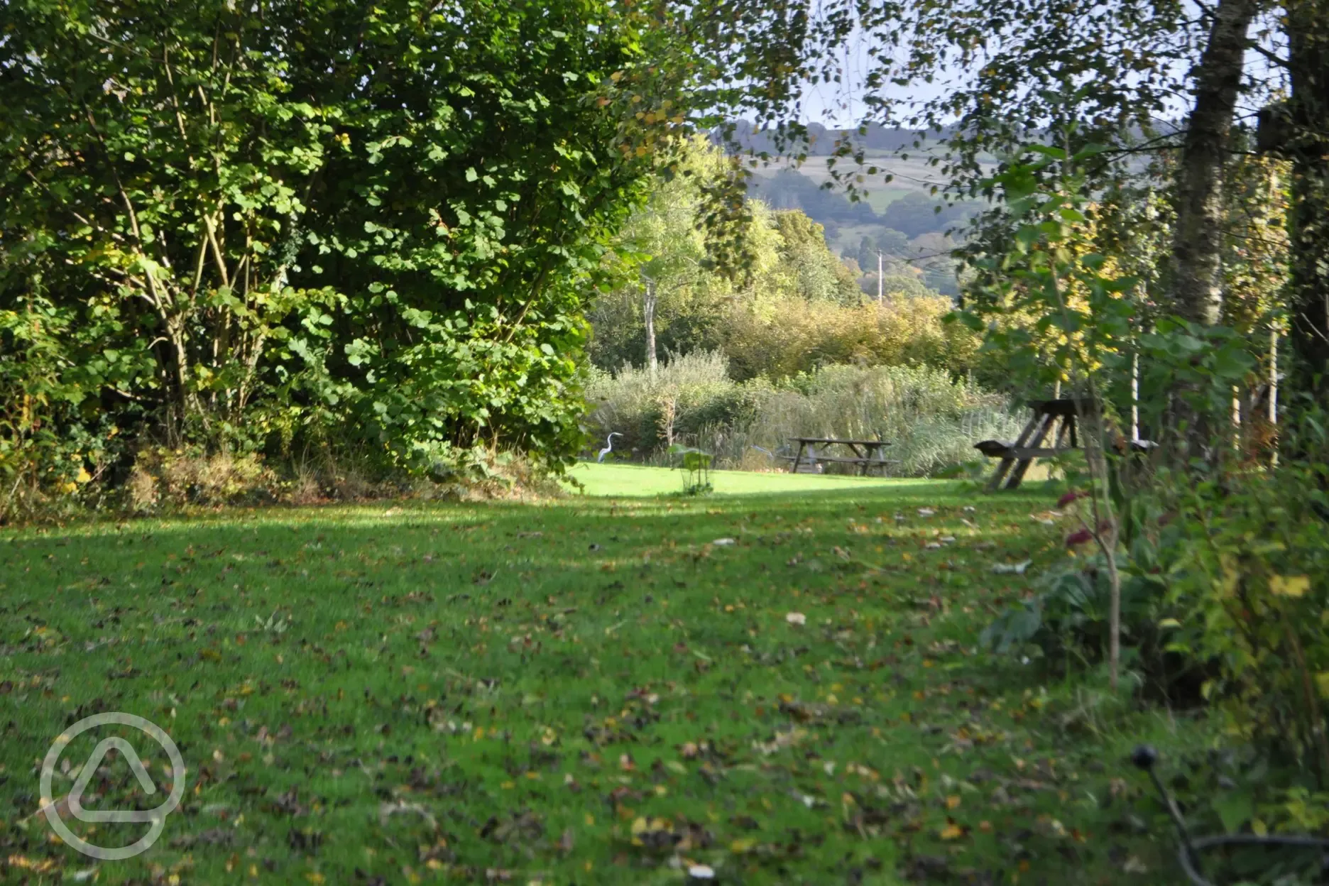 The dedicated 'bee bank'