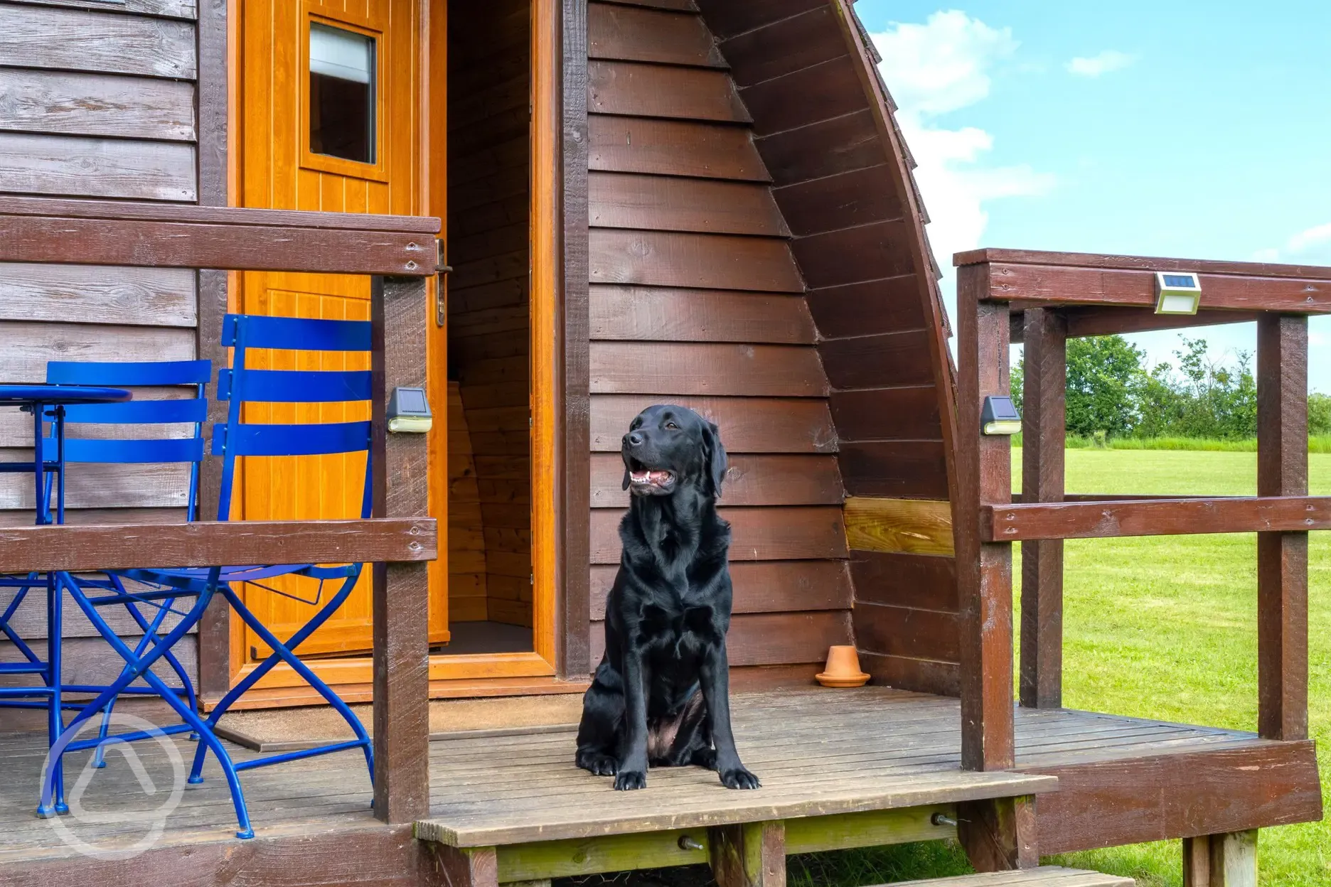 Pet friendly glamping pods