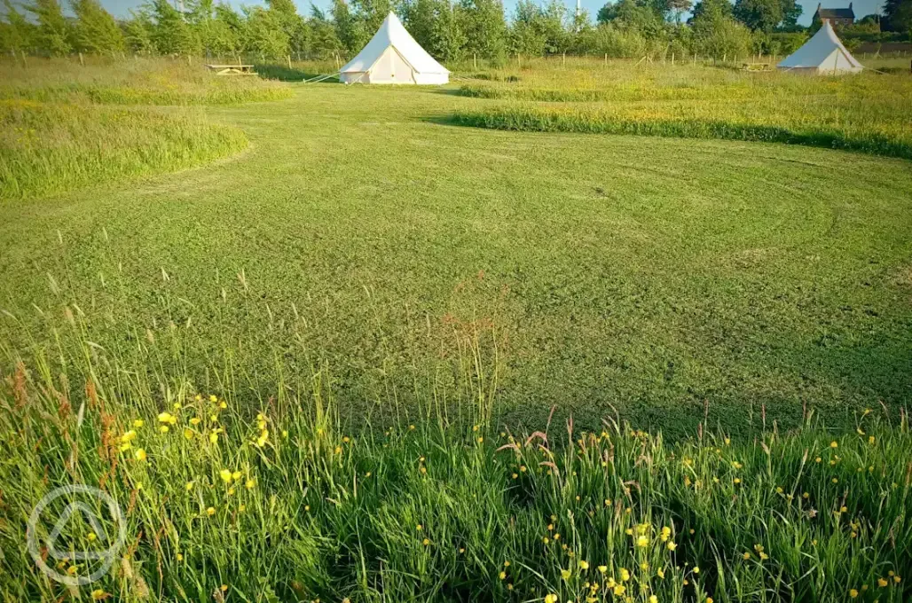Grass pitches and bell tent 