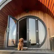 Dog friendly glamping pods 