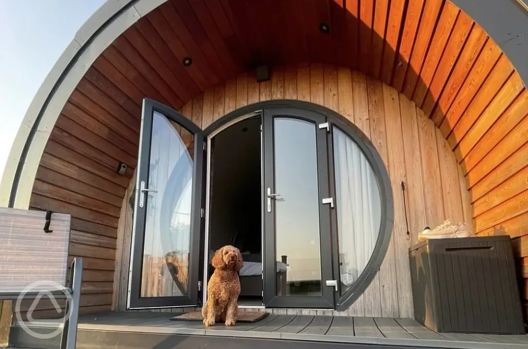 Dog friendly glamping pods 