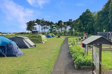 Entrance to the grass pitches and pods