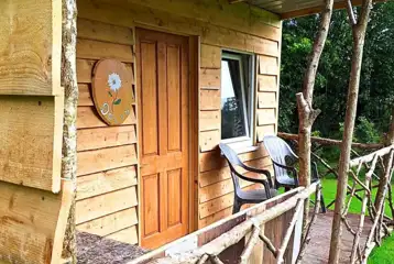 Daisy cabin Daisy cabin