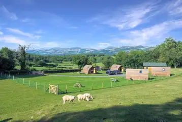 Campsite overview