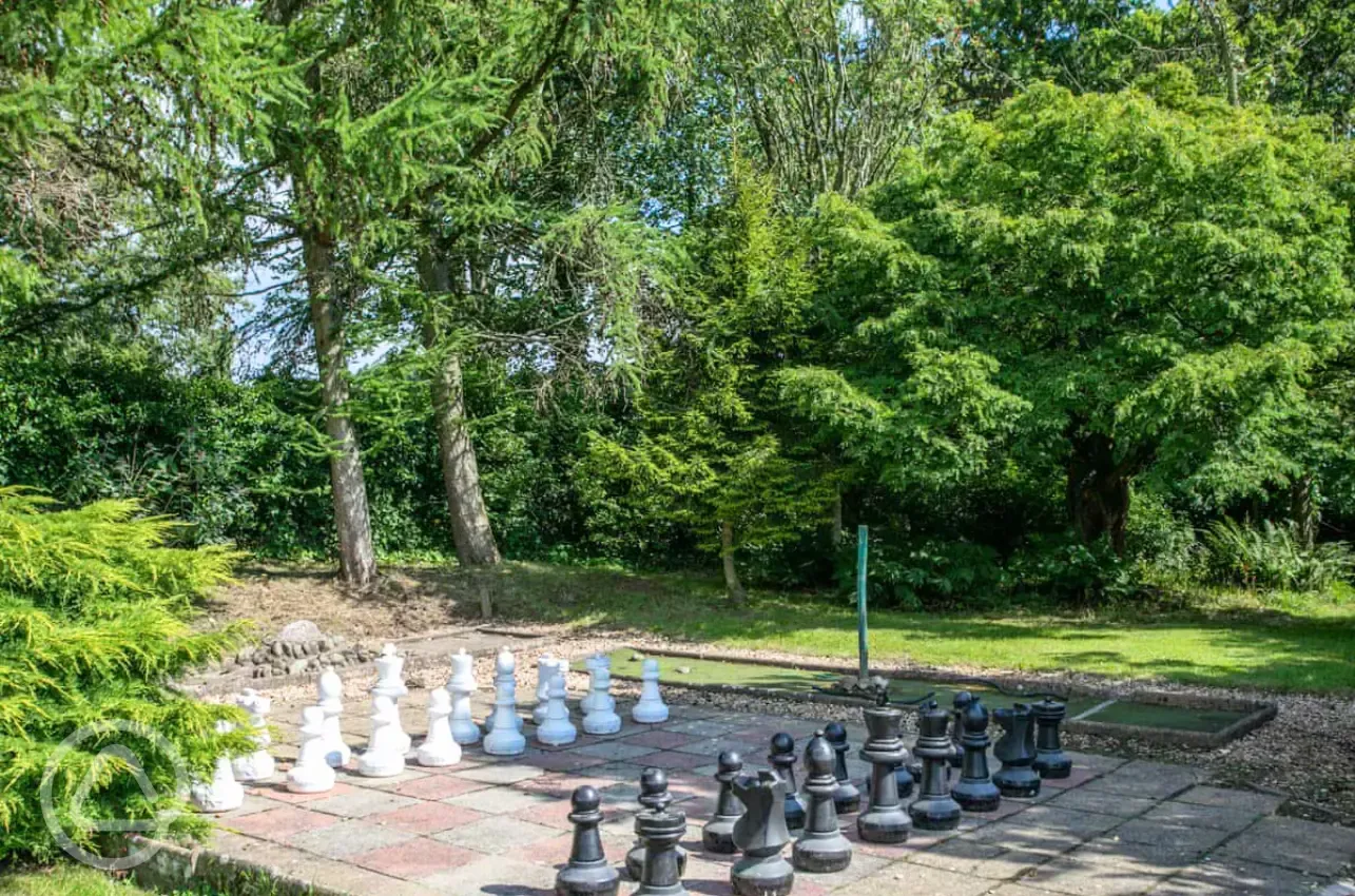 Giant chess