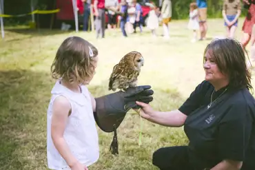 Animals onsite include owls