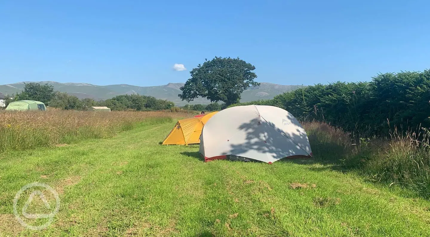 Non electric grass tent pitches