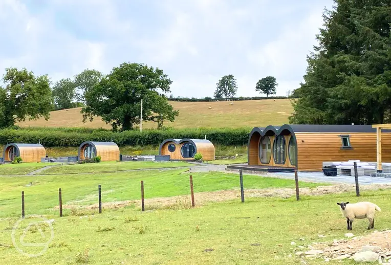 Glamping pods with countryside views and neighbouring sheep