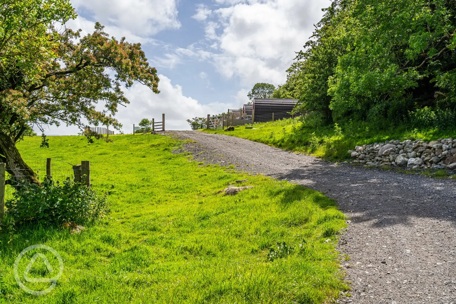 Site grounds