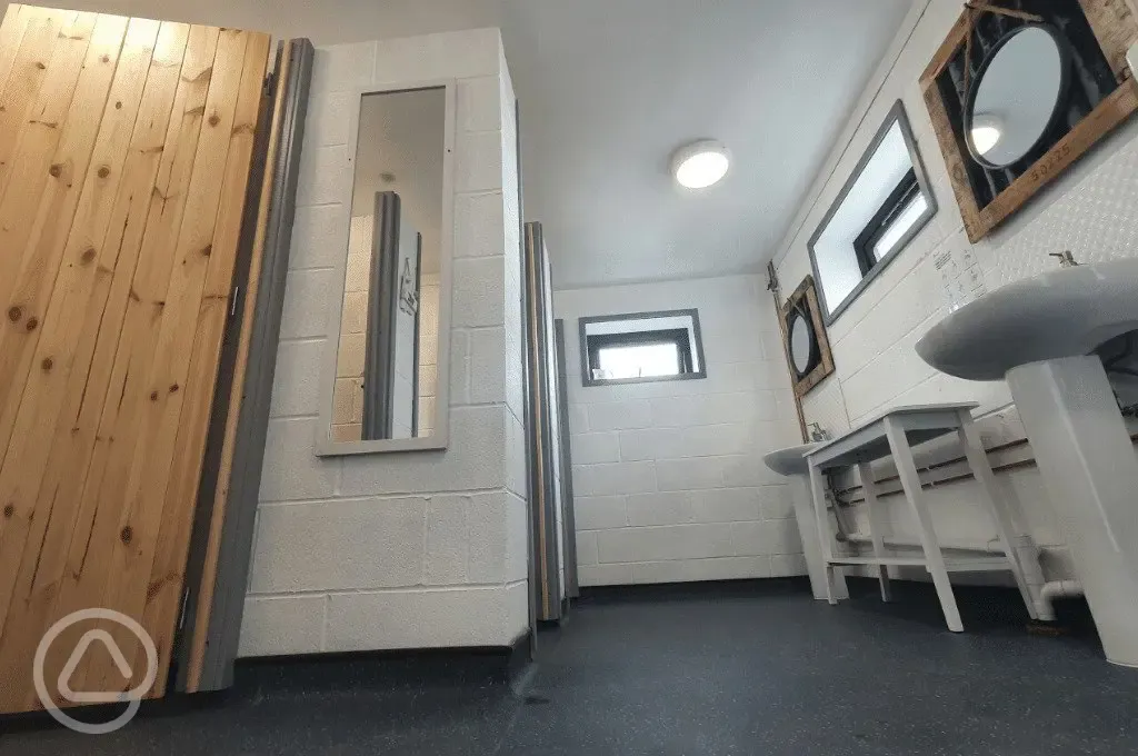 Ladies toilets with mirrors and sinks Ladies toilets with mirrors and sinks