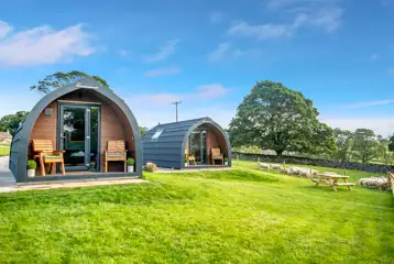 Glamping pods