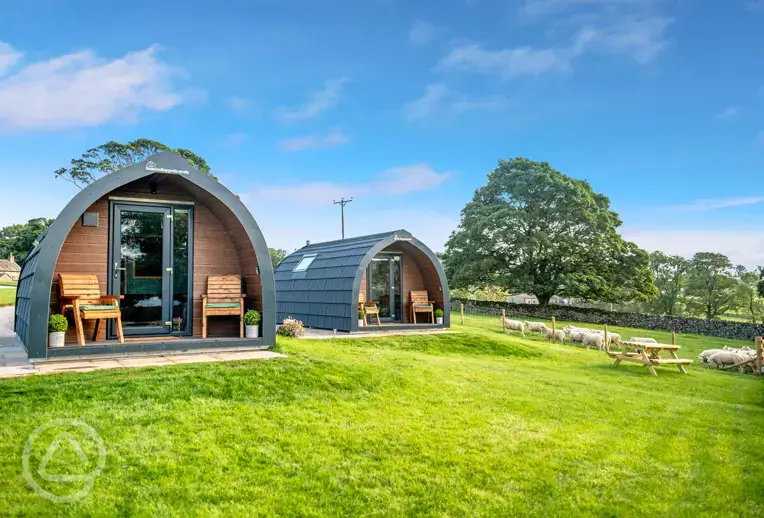 Glamping pods