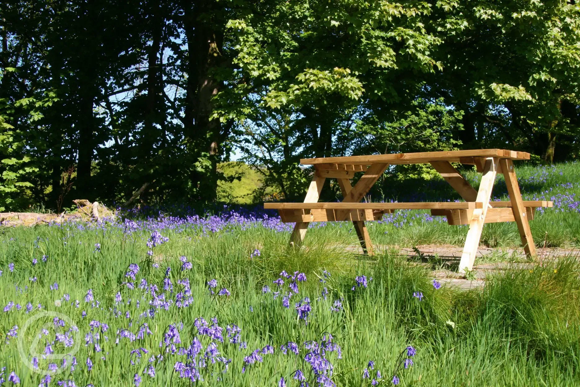 Picnic bench