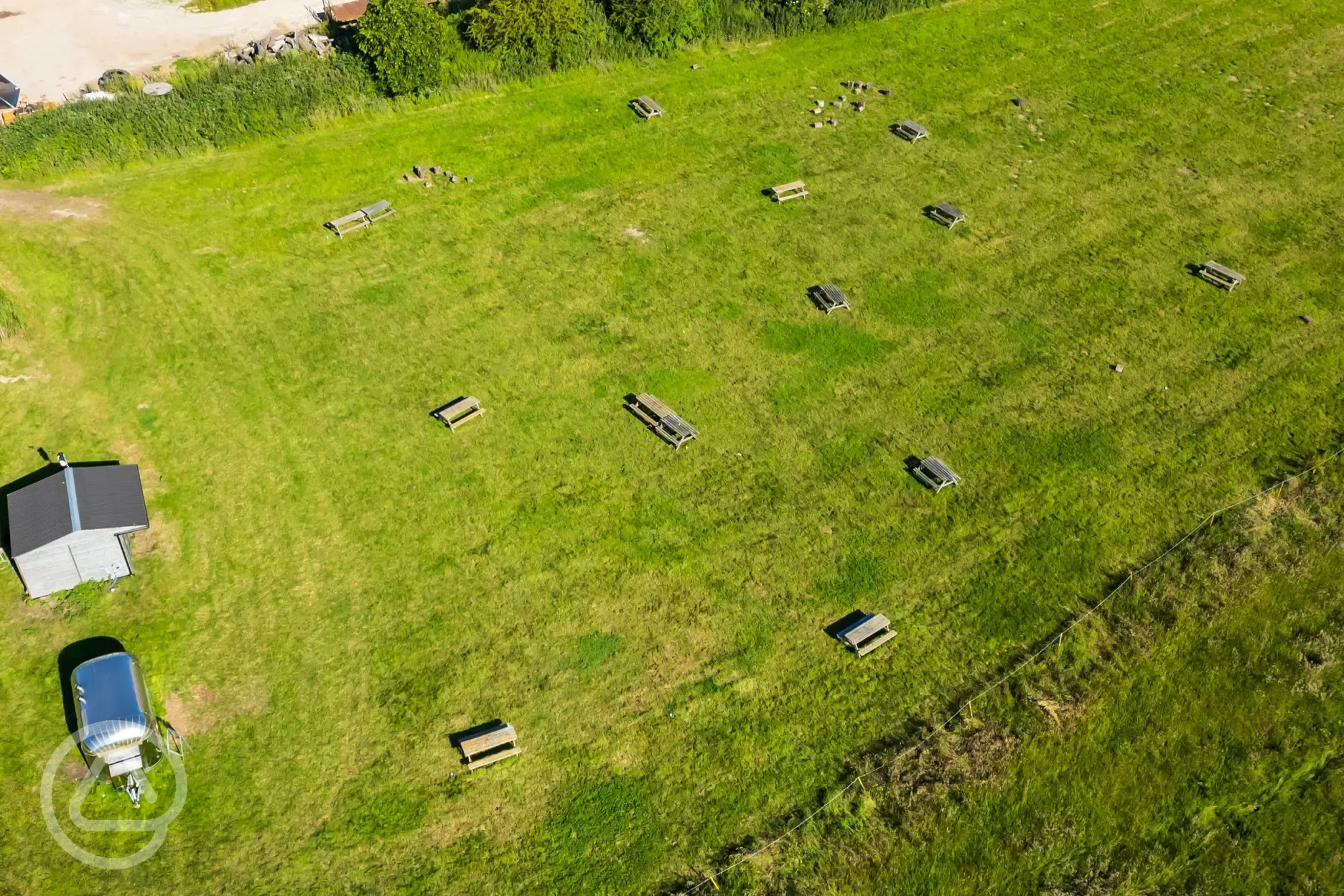 Beer field