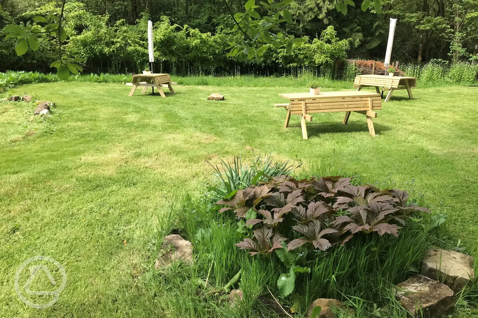 Wild meadow and picnic area