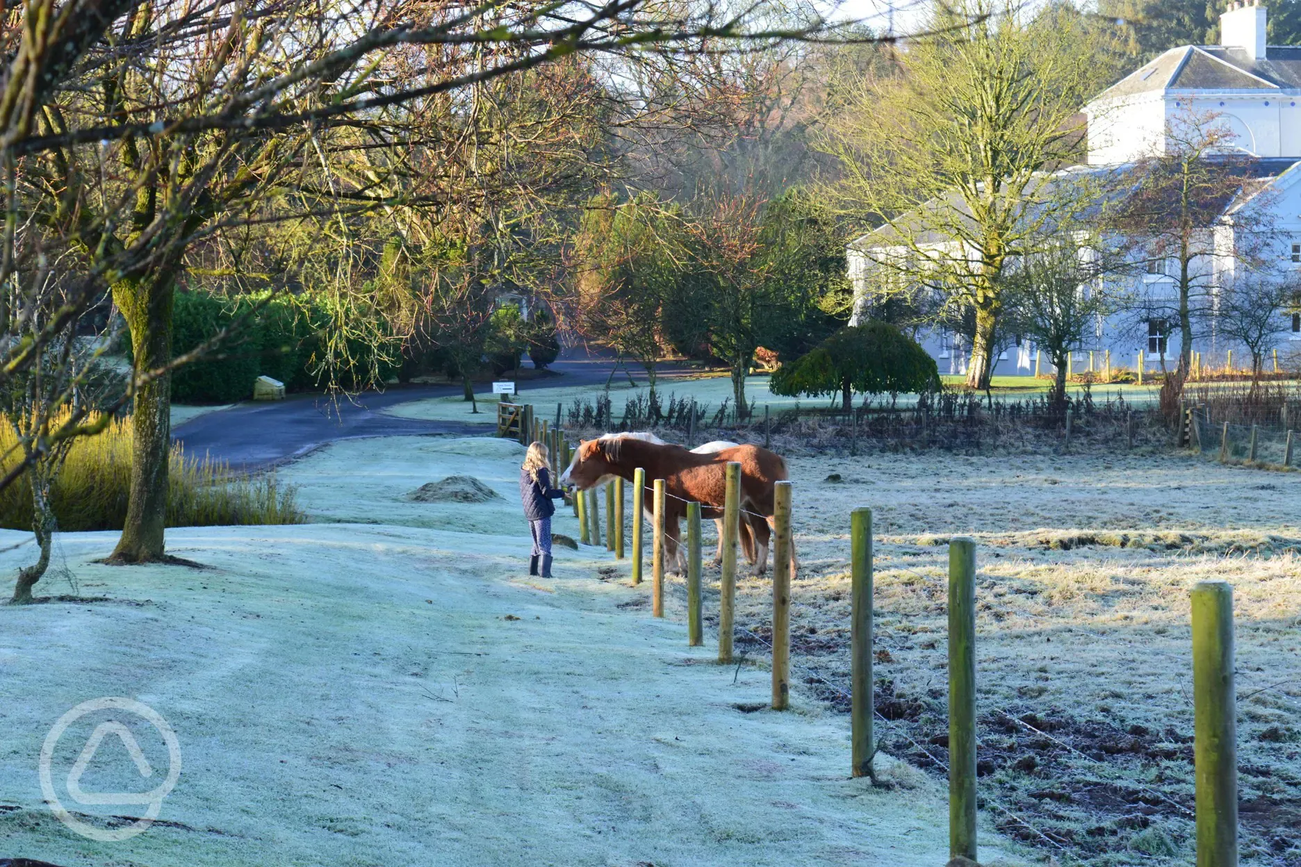 Site neighbours