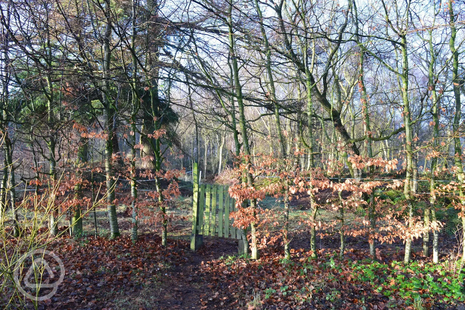 Gate into coutryside