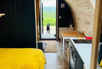 View from inside the glamping pod