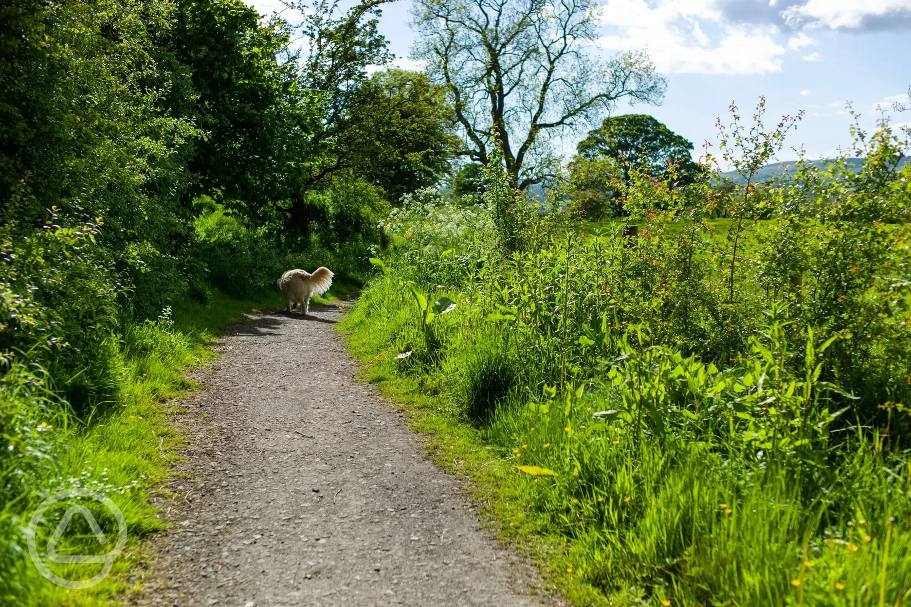 Walk near site