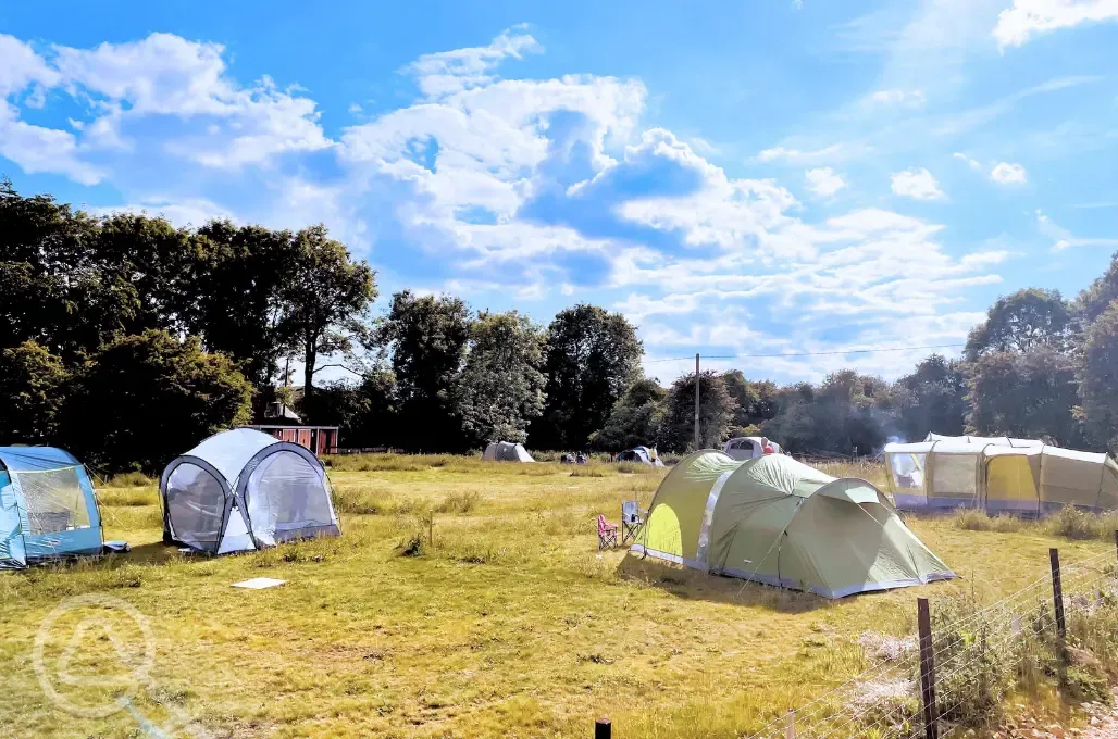 Non electric grass tent pitches