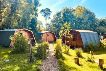 Camping pods in a garden area (cluster of five) at Wildings Holidays Camping pods in a garden area (cluster of five) at Wildings Holidays