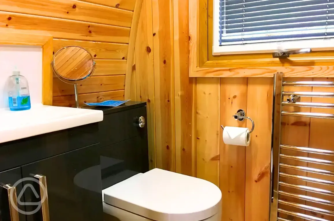 Pod ensuite with toilet, shower, sink, mirror and radiator Pod ensuite with toilet, shower, sink, mirror and radiator