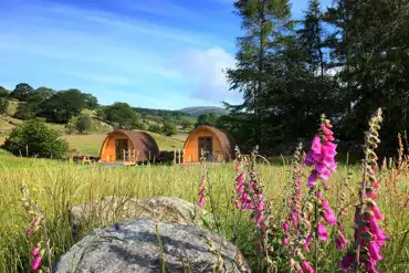 Glamping pods